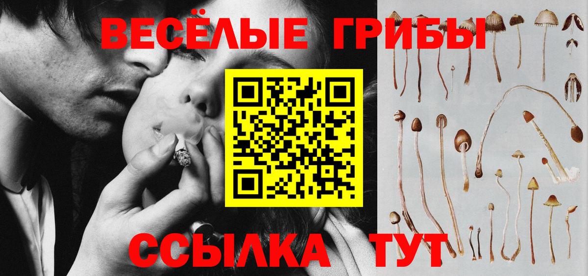 Галлюциногенные грибы ЛСД Кострома
