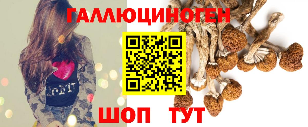 Кострома  Галлюциногенные грибы ЛСД  Вход с VPN 