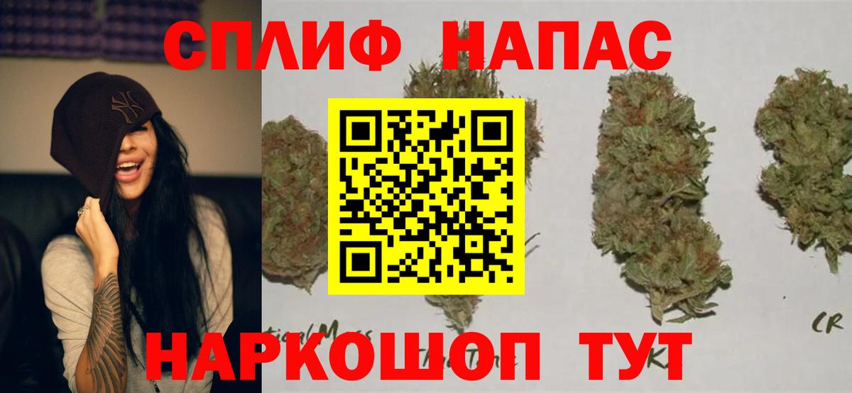 Марихуана MAZAR  Каннабис конопля  Вход с VPN  Кострома  Шишки марихуана план 